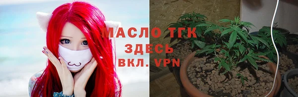 ГАЛЛЮЦИНОГЕННЫЕ ГРИБЫ Балахна