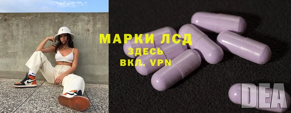 ГАЛЛЮЦИНОГЕННЫЕ ГРИБЫ Балахна