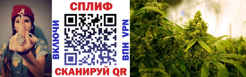 Купить где  Минеральные Воды  Бошки марихуана сатива 